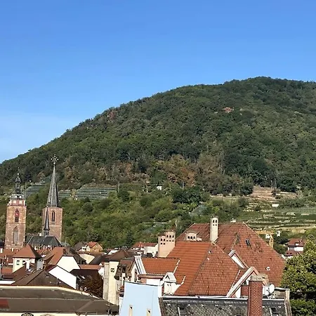 Modernes City-apartment Lejlighed *