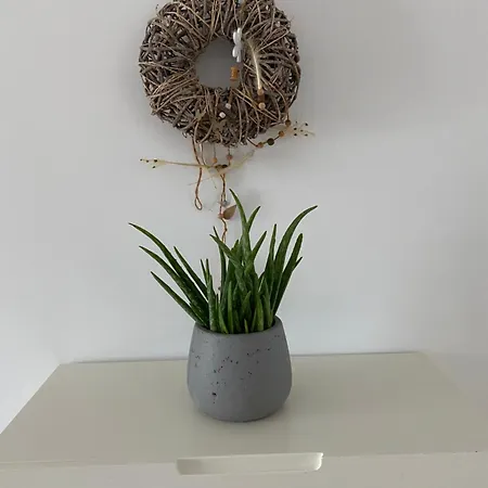 Modernes City-apartment *